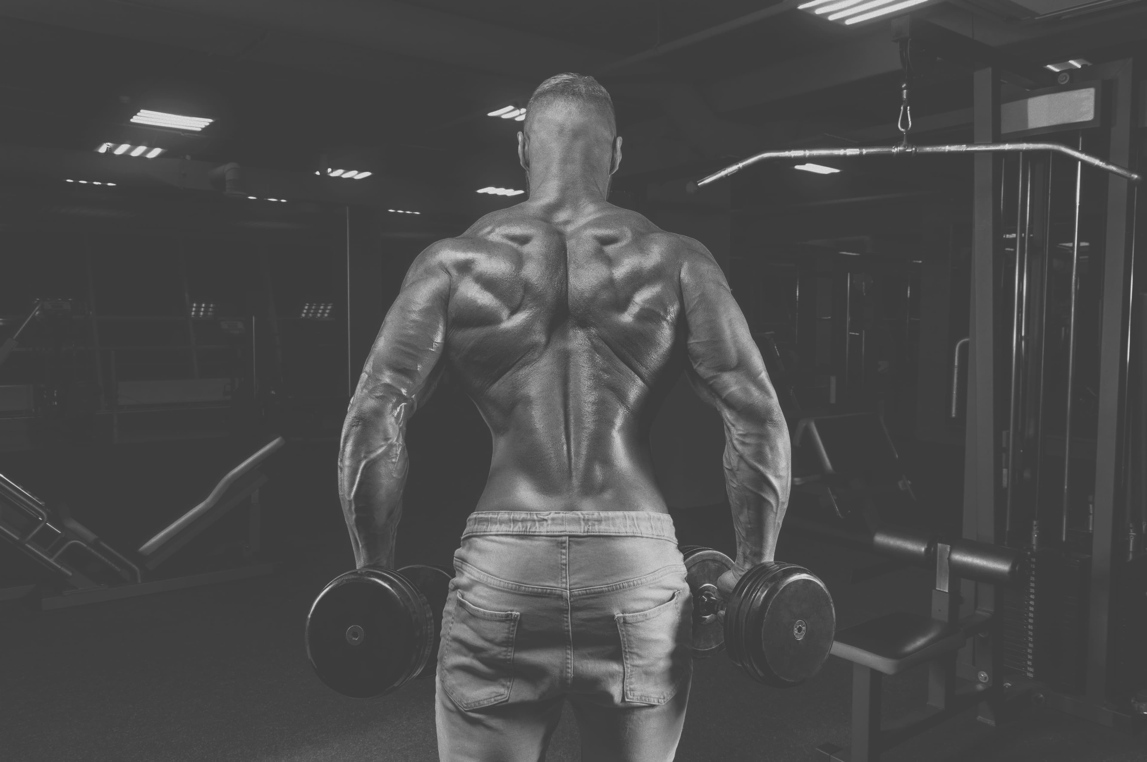 Pourquoi les shrugs en rotation sont inefficaces?