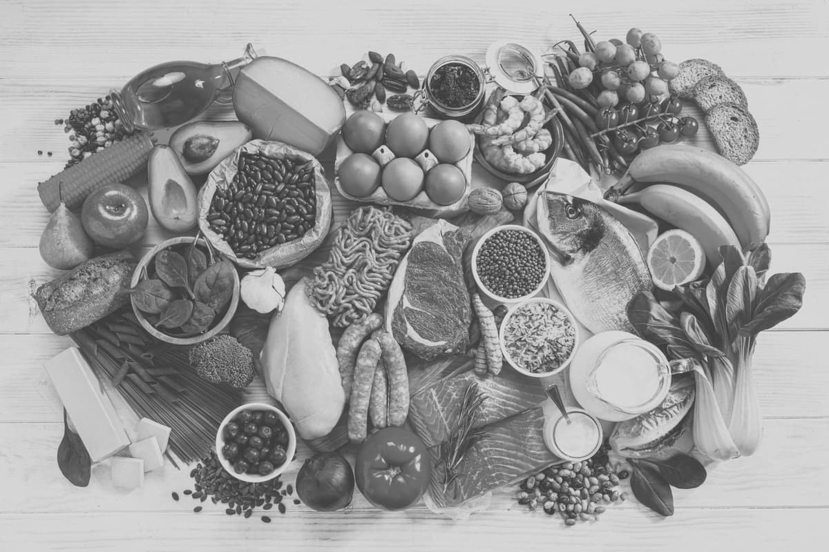 Ratio glucides/protéines et son impact neurologique